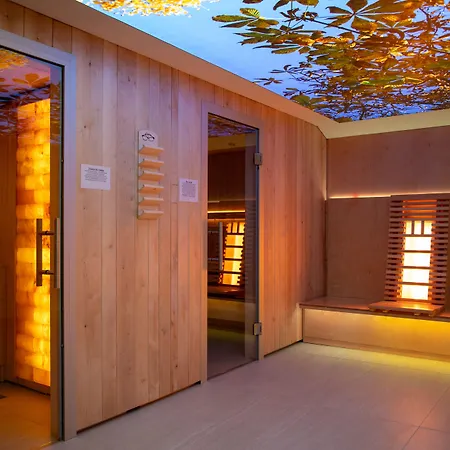 Hotel Alpenlodge Val Gronda Obersaxen