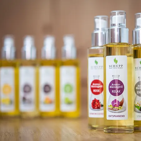 Alpenlodge Val Gronda Otel Obersaxen