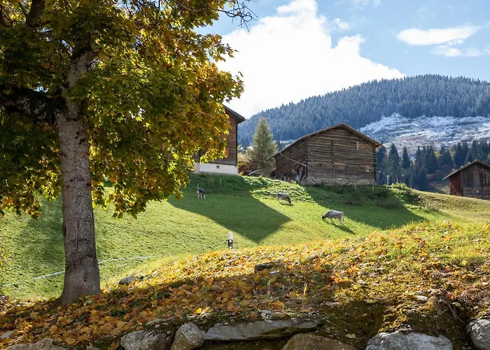 Alpenlodge Val Gronda 3* Obersaxen