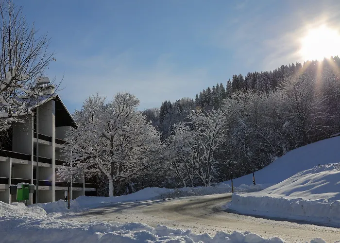 Alpenlodge Val Gronda 3* Obersaxen